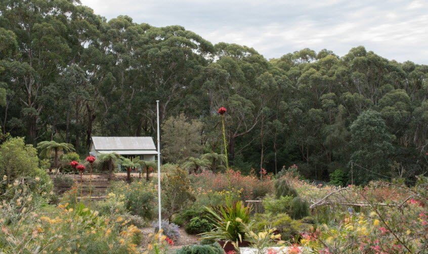 Illawarra Grevillea Park, Bulli, New South Wales, Australia, Australia